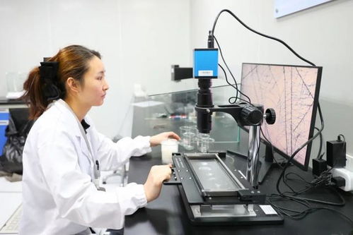 最美生產(chǎn)線 走進(jìn)中紡聯(lián)檢上海，探索檢驗(yàn)技術(shù)服務(wù)的卓越之旅